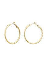 Basic Elegance Hoop Earrings