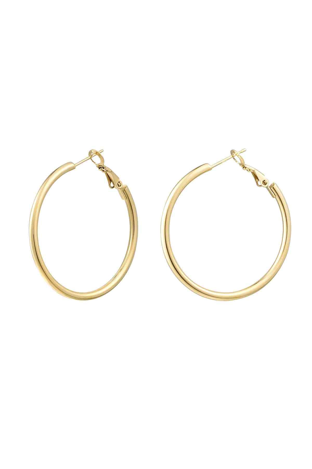 Basic Elegance Hoop Earrings